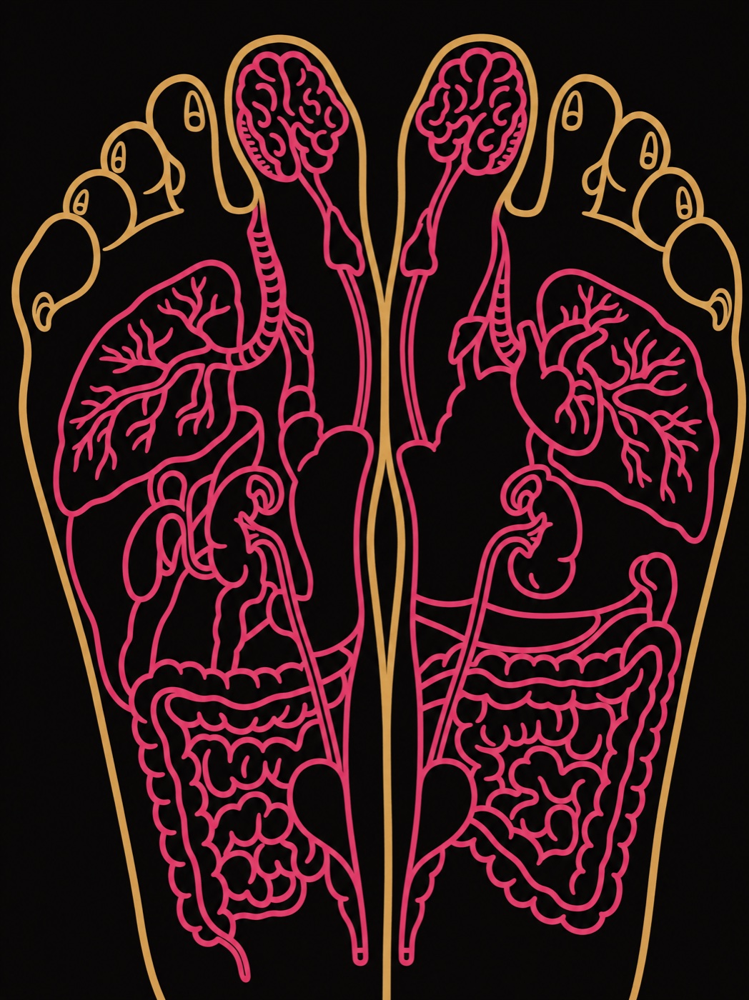 Mappa di riflessologia plantare: le piante dei piedi in oro con gli organi disegnati in rosa